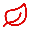 Leaf icon
