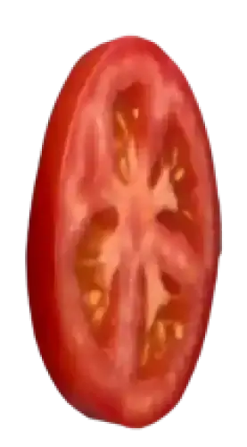 Fresh tomato slice